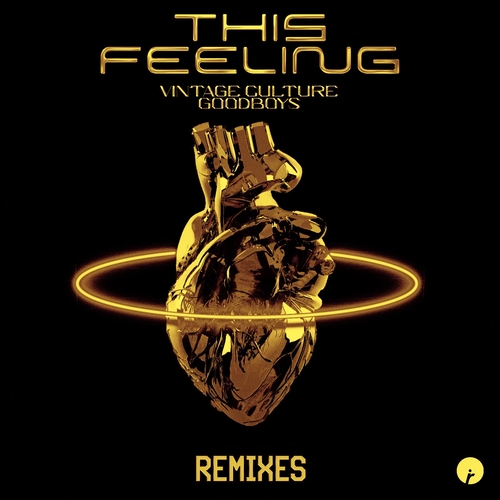 Vintage Culture & Goodboys - This Feeling (Remixes) [IR0196B]